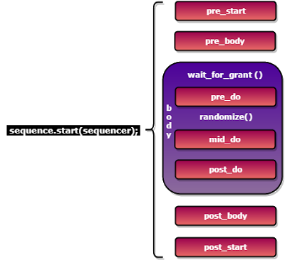 uvm sequence phases